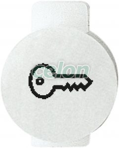 Symbol Disc Key GW20537 - Gewiss, Egyéb termékek, Gewiss, Domotics, System rendszer, Gewiss