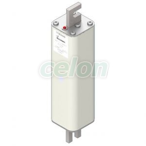 Fuse 100A 2500V 1/210 Ar 170E5449-Eaton, Egyéb termékek, Eaton, Olvadóbiztosítékok, Eaton