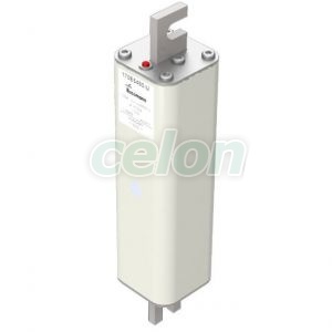 Fuse 125A 2500V 1/210 Ar 170E5450-U-Eaton, Alte Produse, Eaton, Siguranțe fuzibile, Eaton