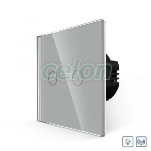 Intrerupator Dublu cu Variator si Touch din Sticla LUXION, RF433, Prize - Intrerupatoare, Luxion, Luxion