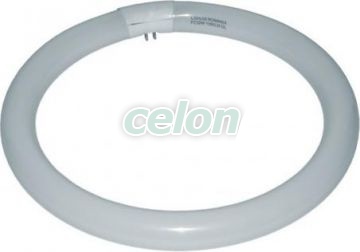 Kompakt körfénycső G13 T8 40 W hideg fehér fényű Lumen, Fényforrások, Fénycsövek, Kompakt körfénycsövek, Lumen