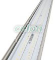 Corp protejat pentru iluminat cu LED-uri, senz.de mişcare 230 V, 50 Hz, 36 W, 4000 K, 3000 lm, IP65, EEI=F, Alte Produse, Tracon Electric, Iluminat - şi corpuri de iluminat, Corpuri de iluminat cu grad de protecţie, Corpuri protejate pentru iluminat industrial cu LED-uri, Tracon Electric