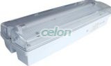 Corp iluminat de siguranţă, permanent 230V, 50Hz, T5, G5, 1×8W, 3h,2,4V/4,5Ah,Ni-Cd, IP65,, Alte Produse, Tracon Electric, Corpuri de iluminat, Tracon Electric